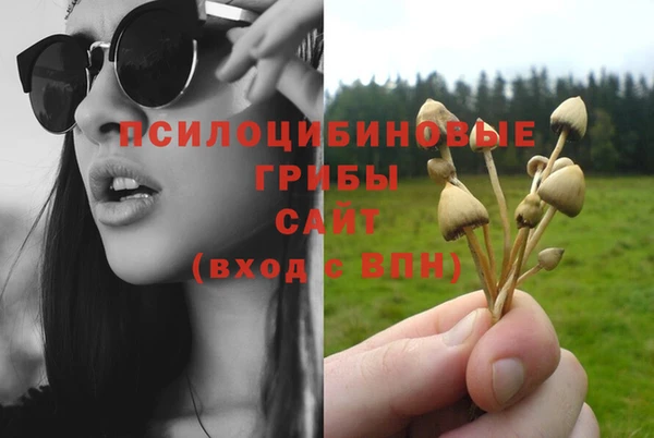 таблы Новодвинск