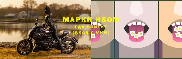таблы Новодвинск