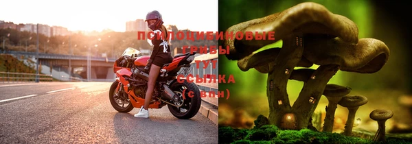 таблы Новодвинск
