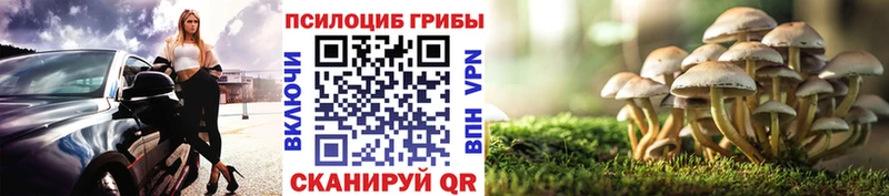 Галлюциногенные грибы мухоморы  где купить наркоту  Старый Крым 